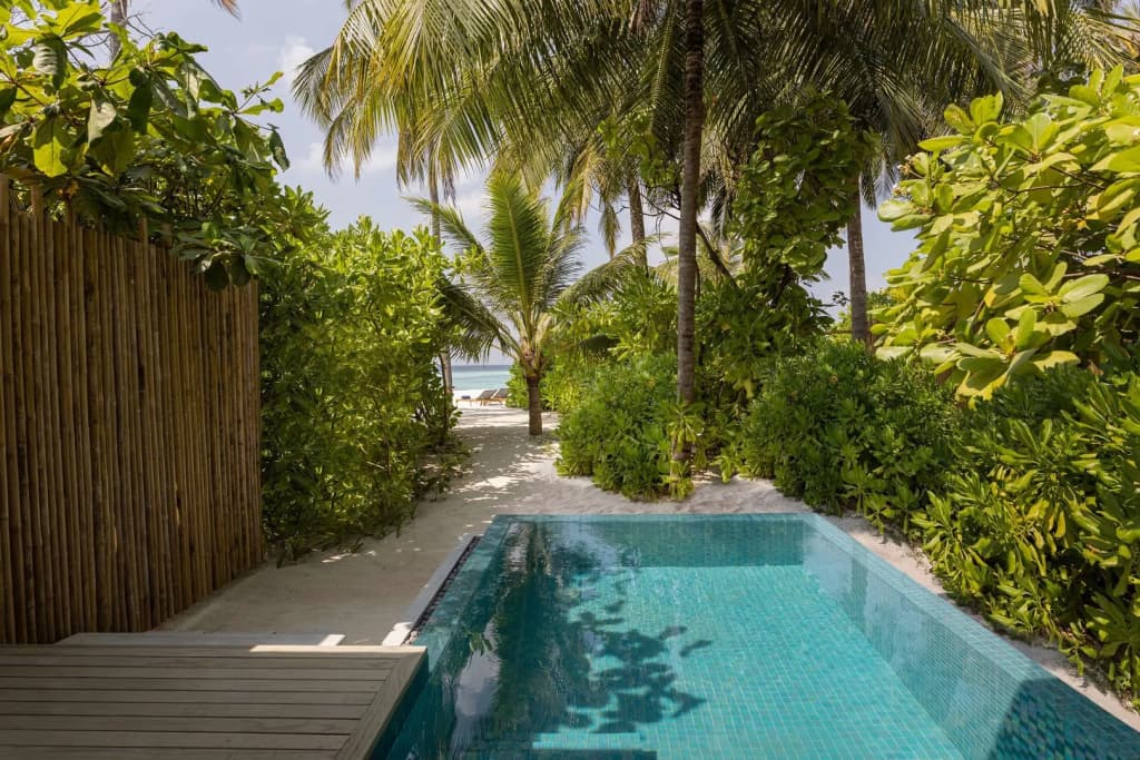 Avani+ Fares Maldives Resort - photo 18