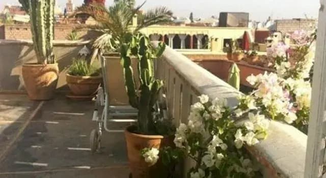 Riad Les Deux Portes - photo 11