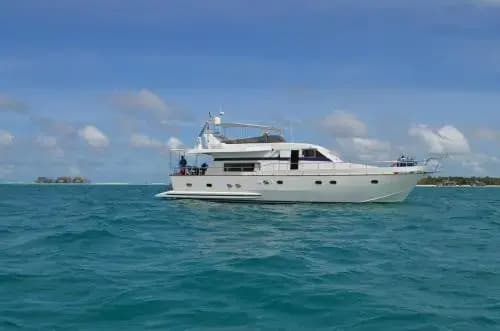 Ocean Breeze - photo 28