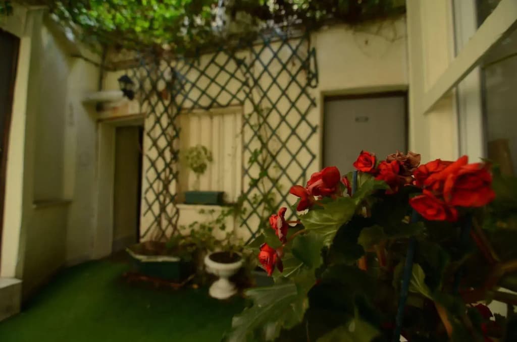 Hôtel Montpellier - photo 13