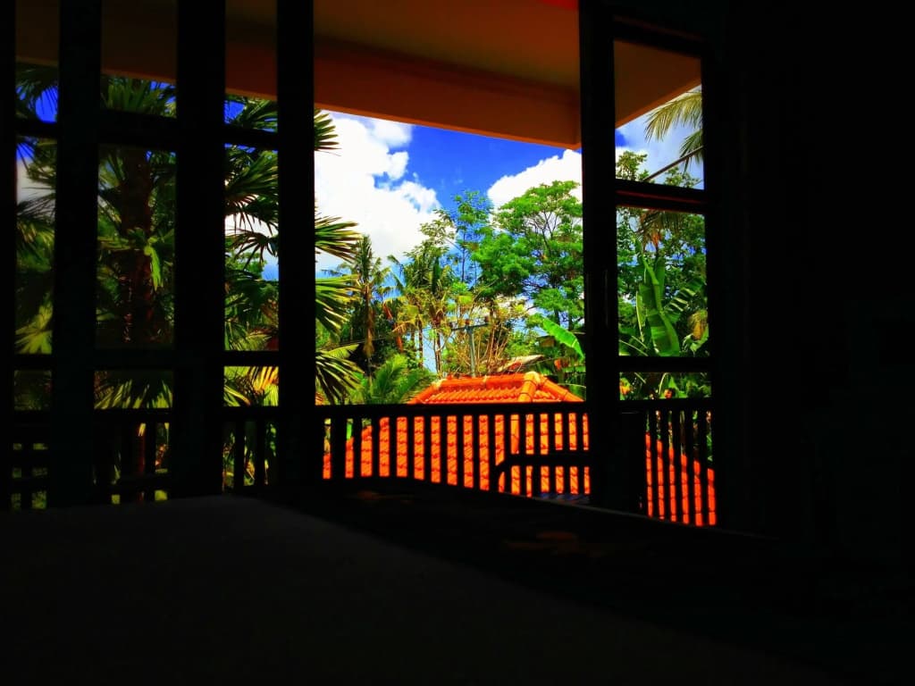 Villa Sonia Bisma - photo 8