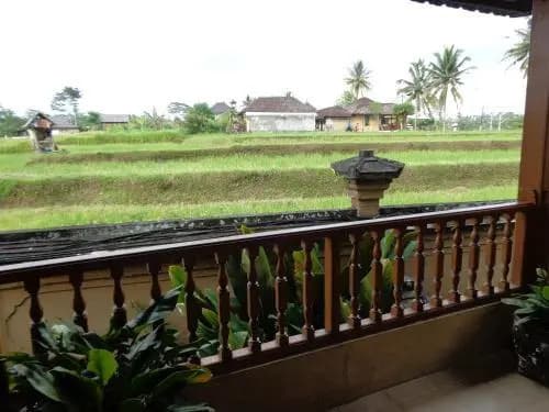 Klub Kokos Bungalows - photo 23