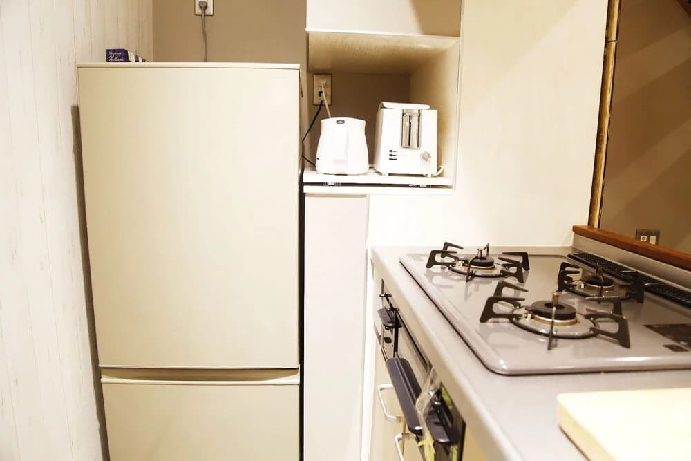 Ueno Lucky Homes - photo 12