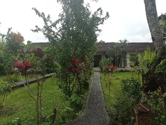 Pande House RedPartner - photo 13