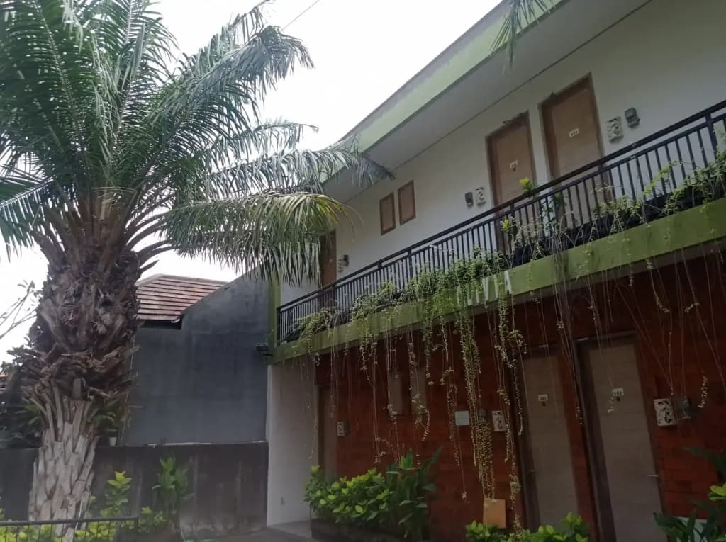 Olivia Inn Denpasar - main photo