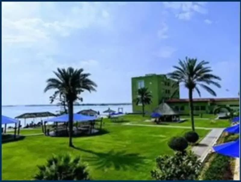 Flamingo Beach Hotel - photo 1