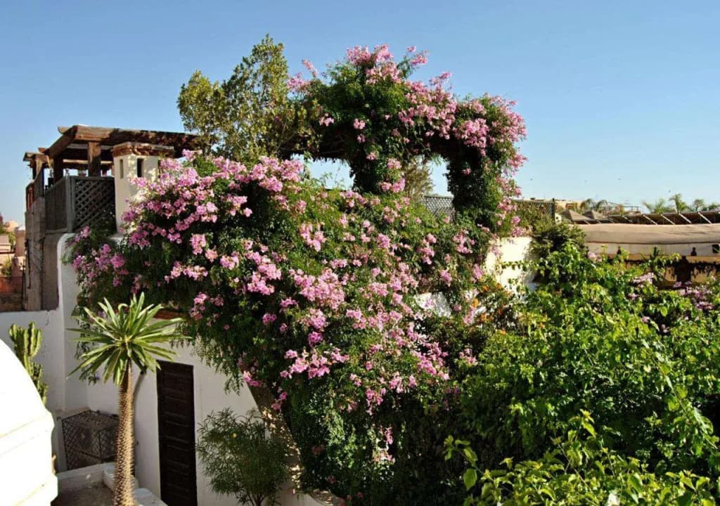 Riad Lyla Marrakech - photo 6