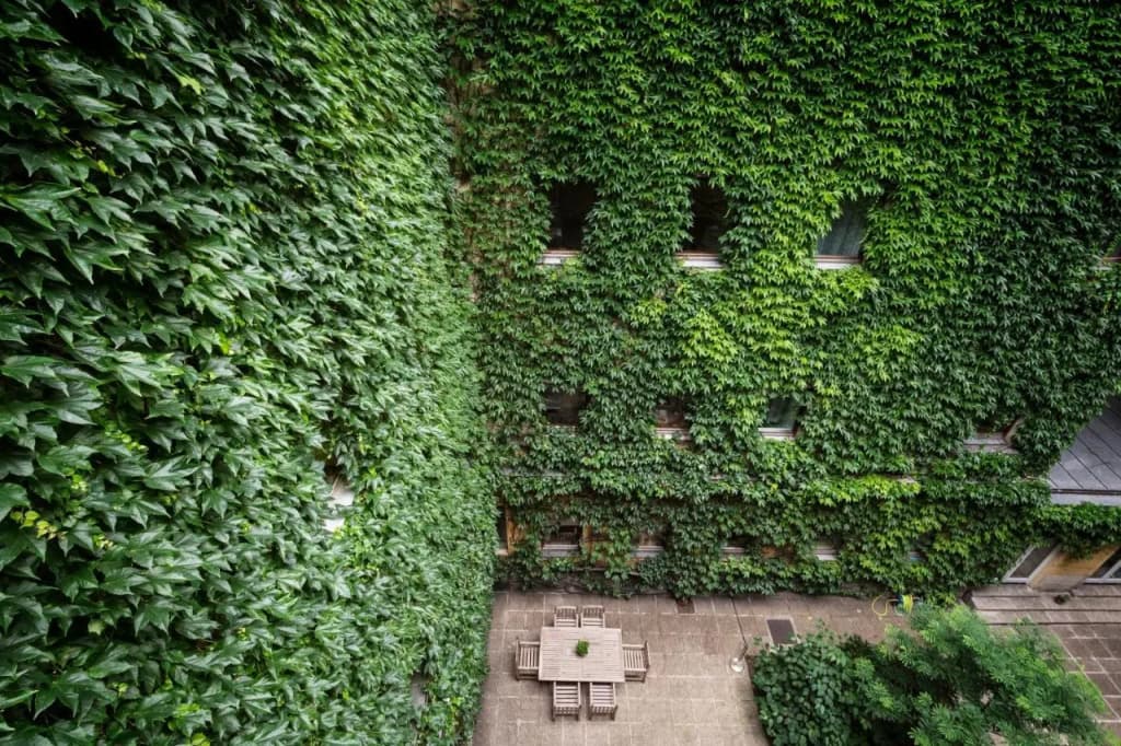 Hotel Kunsthof - photo 41