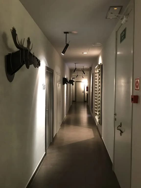 Triunfo - photo 14