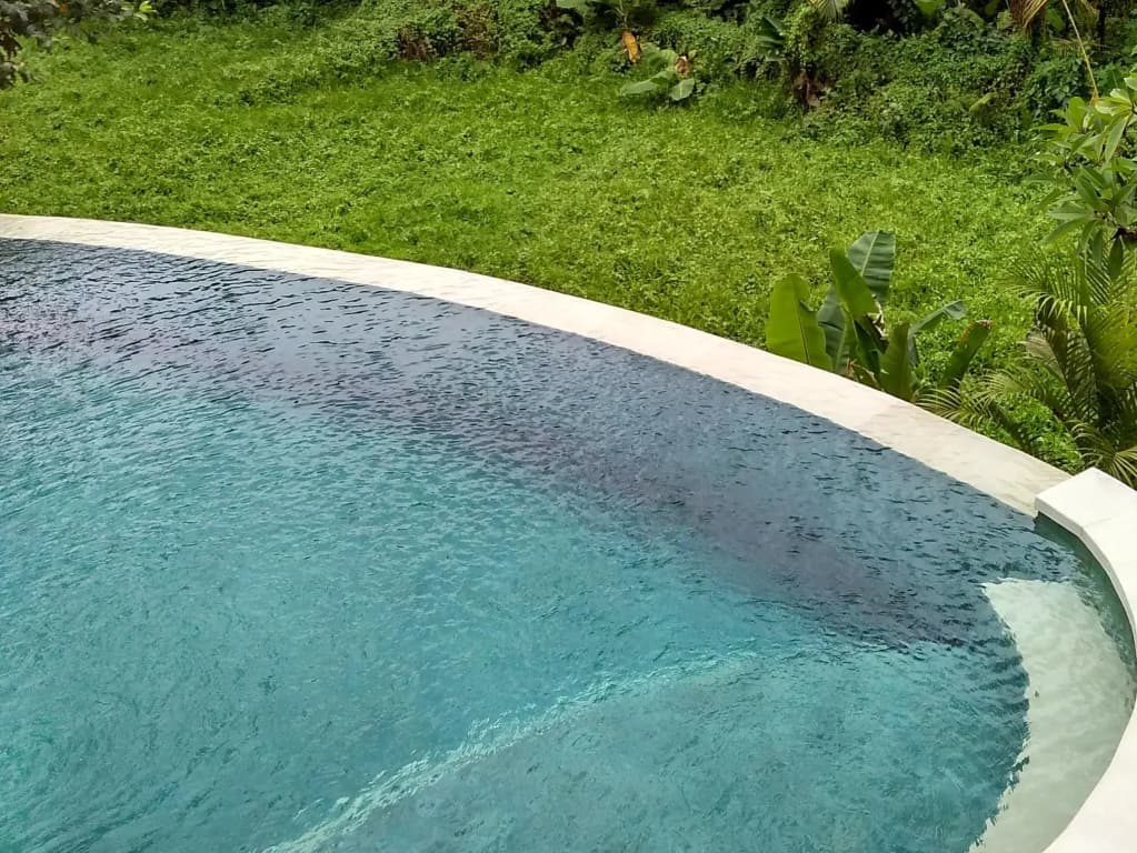 Lotus Villa Ubud - photo 13