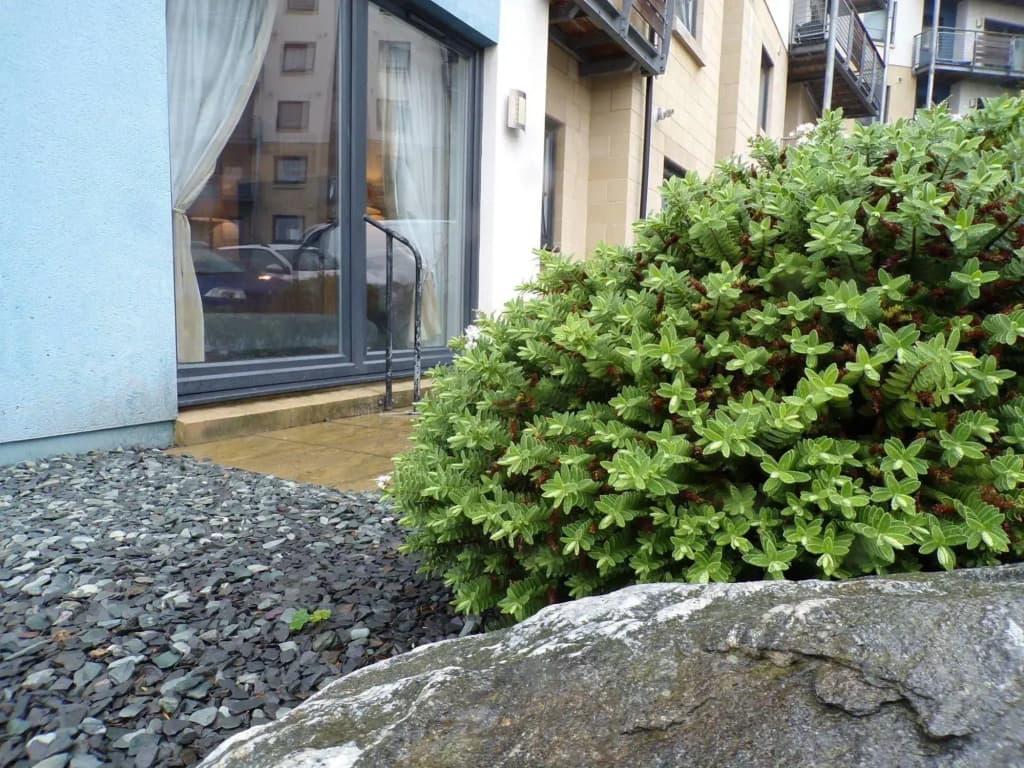 Drybrough Apartments - photo 10