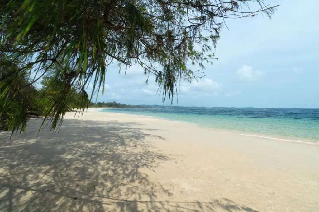 Anantara Desaru Coast Resort & Villas - photo 18