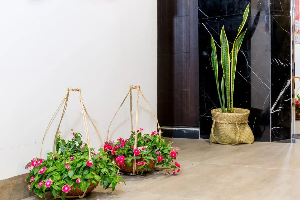 Platinum Danang Hotel - photo 16
