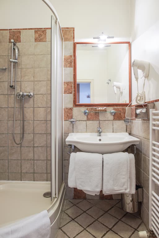 Hotel Tivoli Prague - photo 22