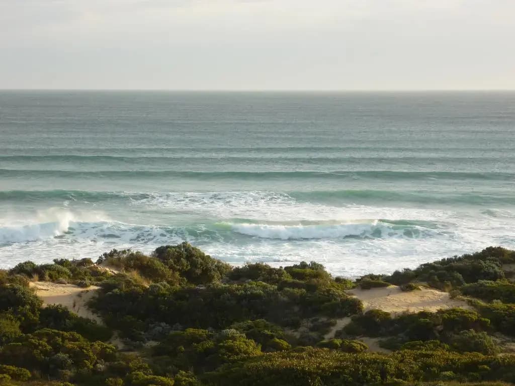 Big Blue Backyard - photo 9