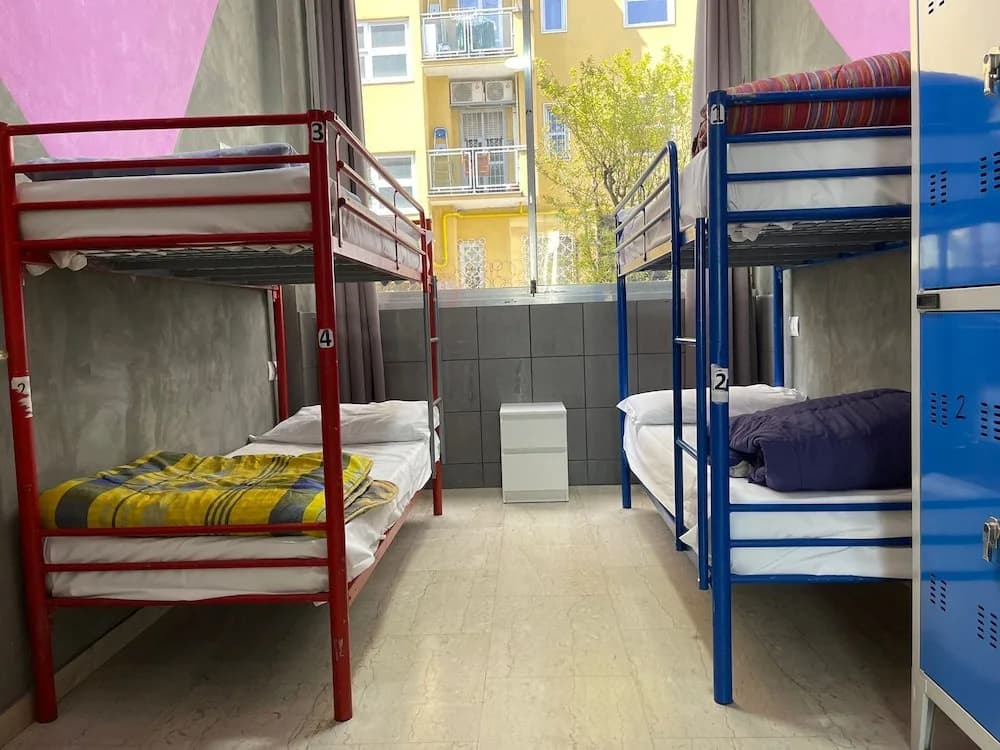 Lion Guesthouse - photo 5