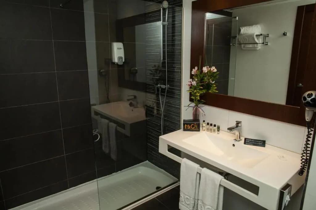 Hotel Tach Madrid Airport - photo 8