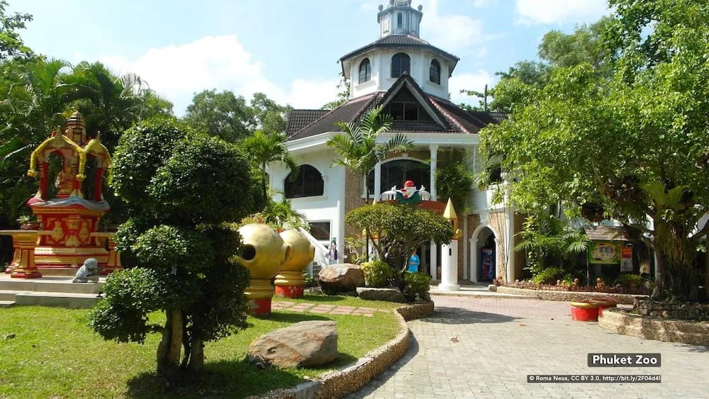 ZEN Hostel Patong - photo 16