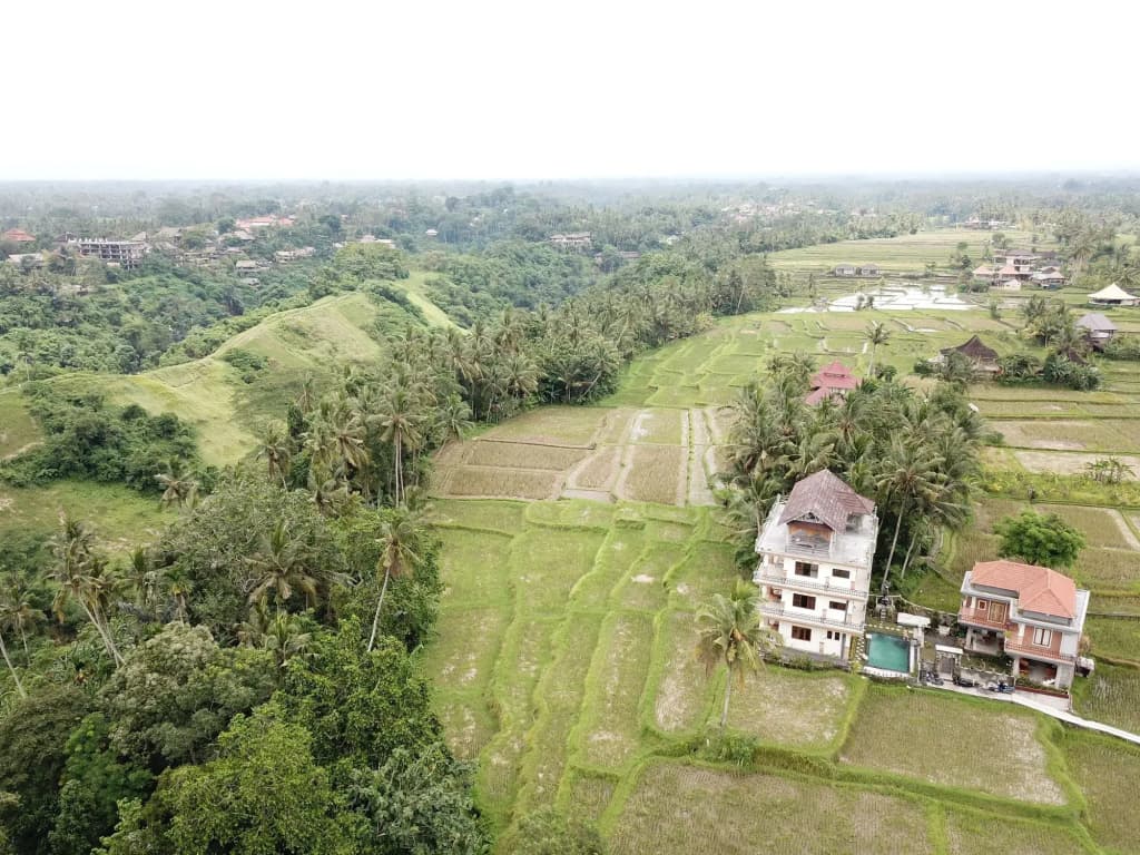 Nirwa Ubud Karma - photo 17