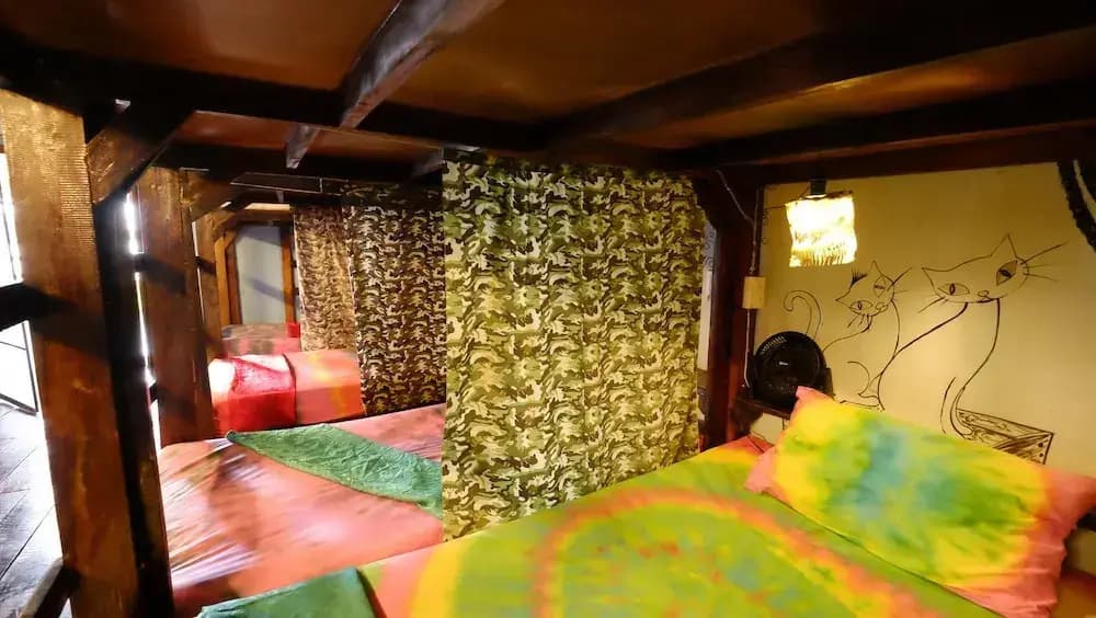 Peacock Hostel - photo 4