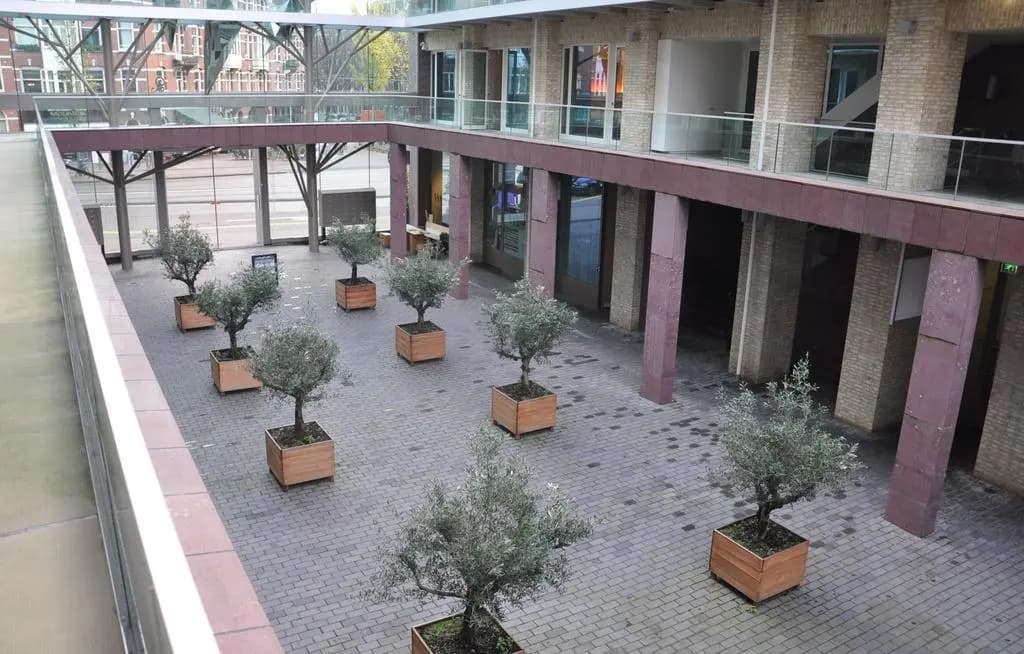 Hotel Mosaic City Centre - photo 27