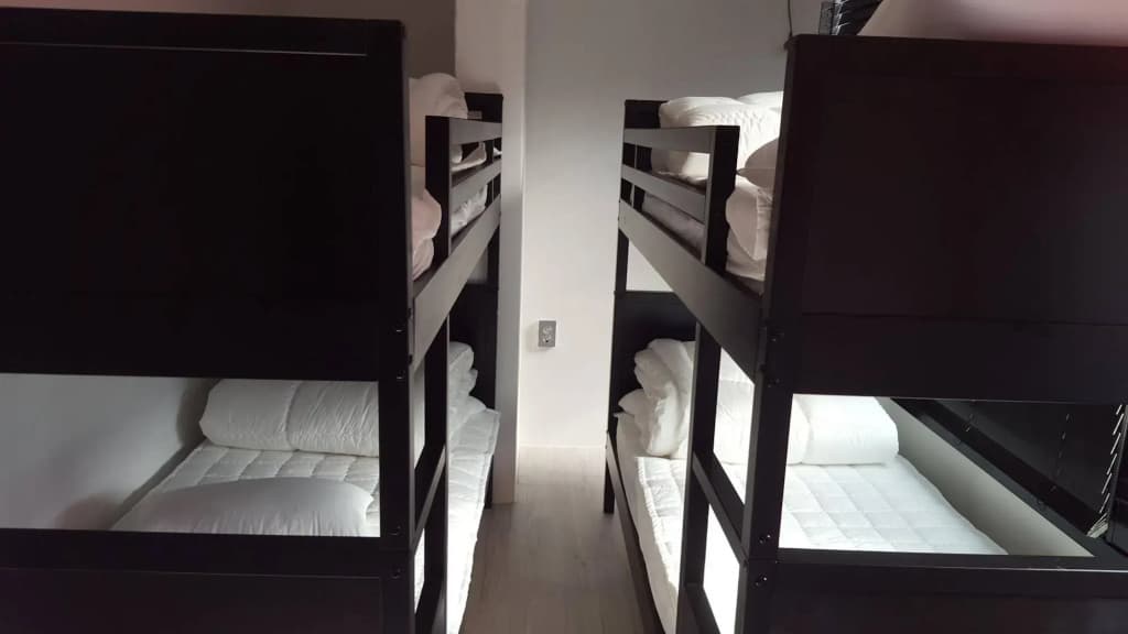 Amazon Guesthouse - Hostel - photo 5
