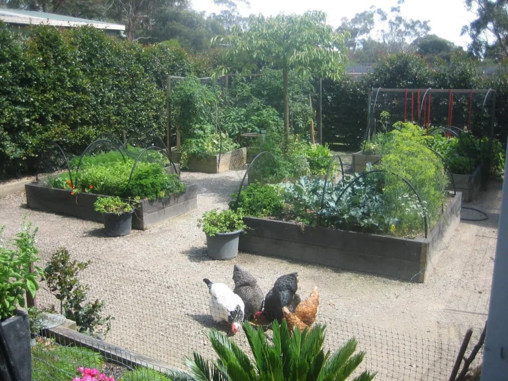 The Guest Room Mt. Martha - photo 16