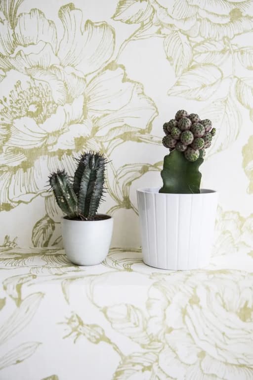 Serendipity Rooms - photo 19