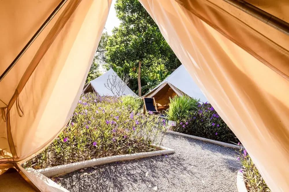 Roost Glamping - photo 34