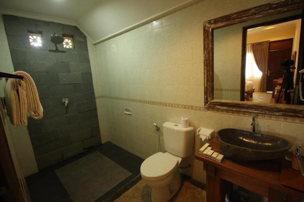 Mina Pelasa Hotel - photo 6