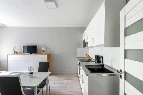 City apartment Slezská - photo 13