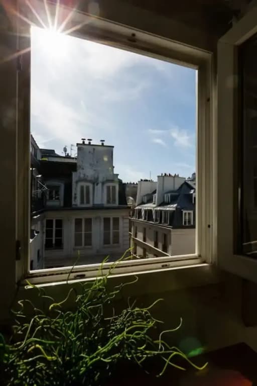 Cool Minimalism by the Palais-royal - photo 10