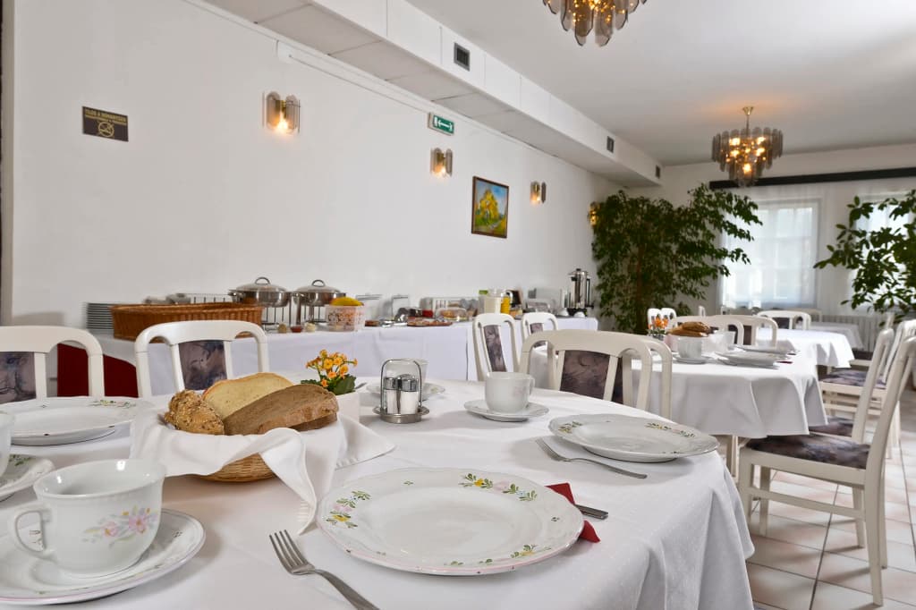 Budai Hotel - photo 27