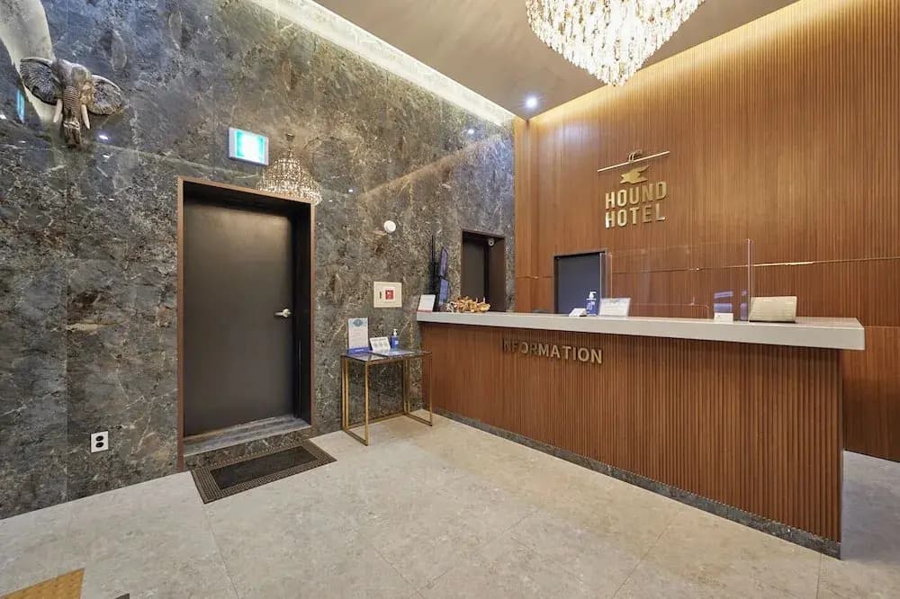 Hound Hotel - photo 2