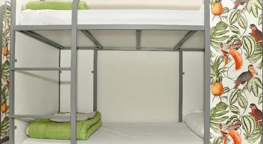 Cat's Hostel - photo 3