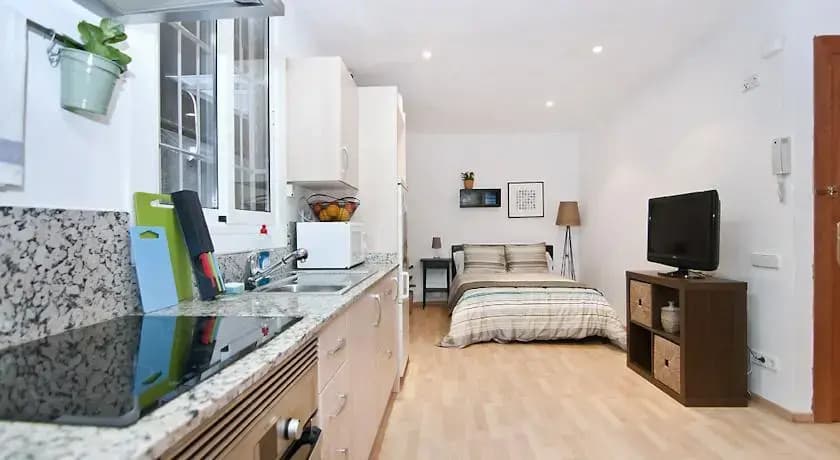 BCN Aveneu Apartments - photo 6