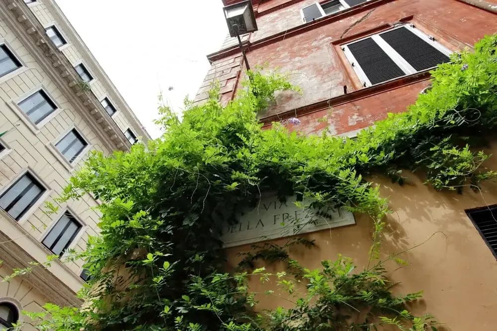 Corso Loft - photo 1