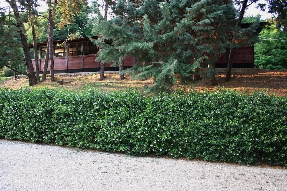 Green Oasis B&B - photo 13