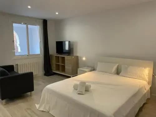 Apartamentos Barcelona-Iberia - photo 4