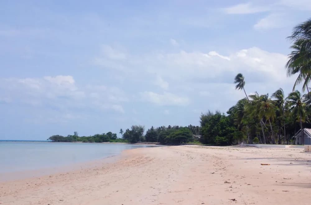 Laura's Guest House - adult only - - photo 26