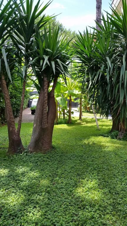 Il Giardino di Giulia 2 - photo 29