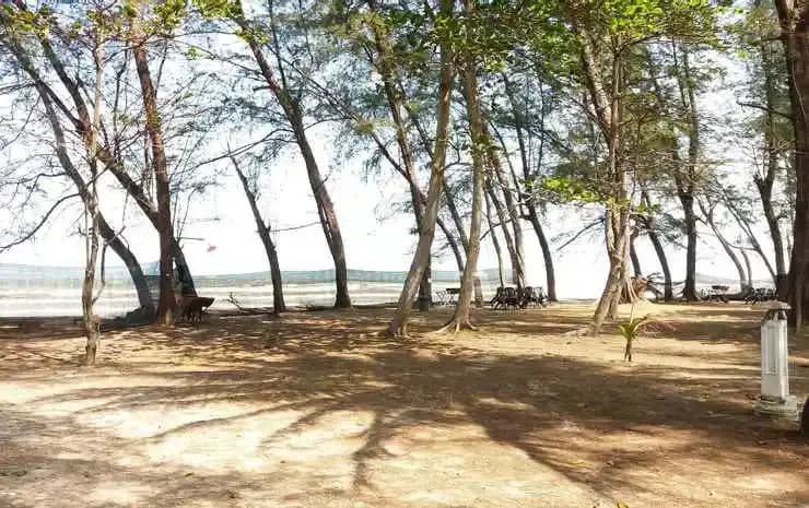 Hotel Sudara Beach Resort - photo 7