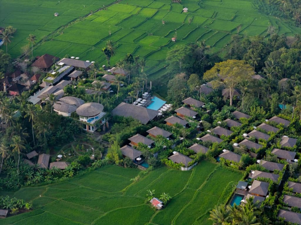 Kappa Senses Ubud Hotel - photo 38