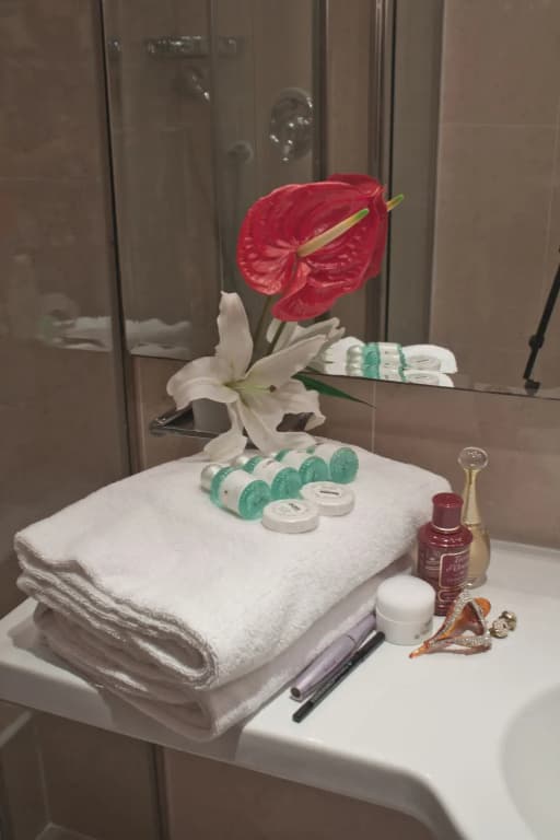 Hotel San Carlo - photo 10