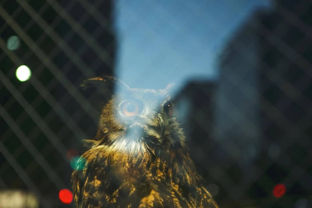 Wise Owl Hostels Tokyo - photo 18