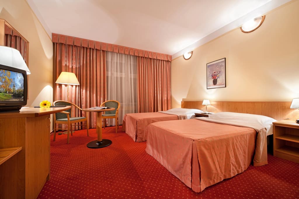 Hotel Aron - photo 3