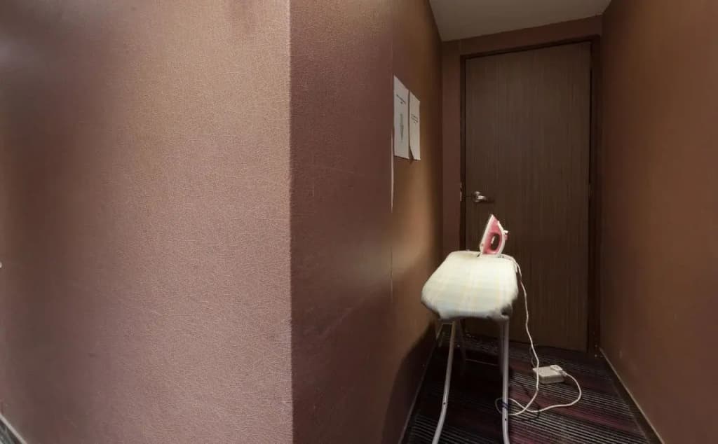Aira Hotel - photo 20