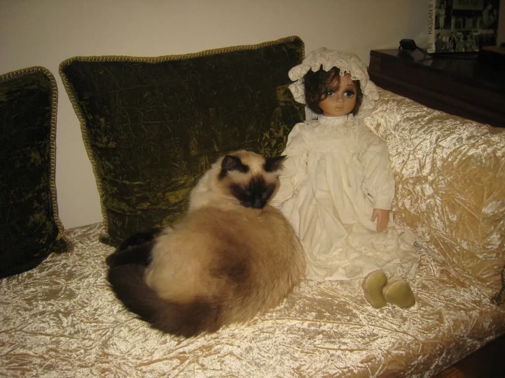 Riad Noos Noos - photo 27