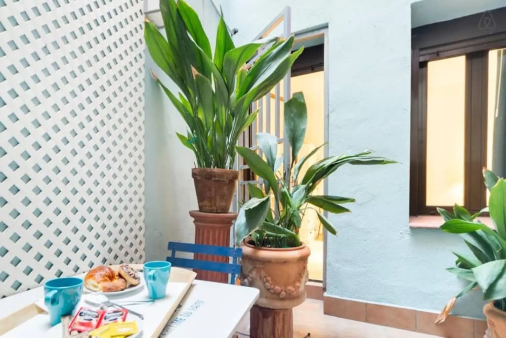 Explore a Walkable Neighborhood around a Comfy Apartment - photo 9