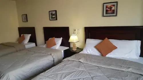 Oriental Hostel - photo 3